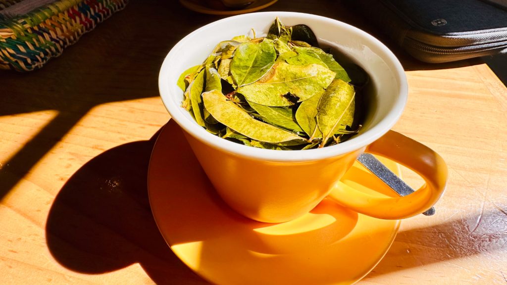 Cup of coca tea to relieve altitude sickness, an essential part of the Humantay Lake Guide altitude tips.