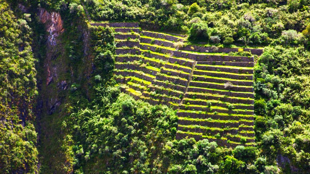 Aerial view of the lush green Inca terraces at Choquequirao, hidden deep in the Peruvian Andes, showcasing ancient agricultural engineering – Ali Peru Treks