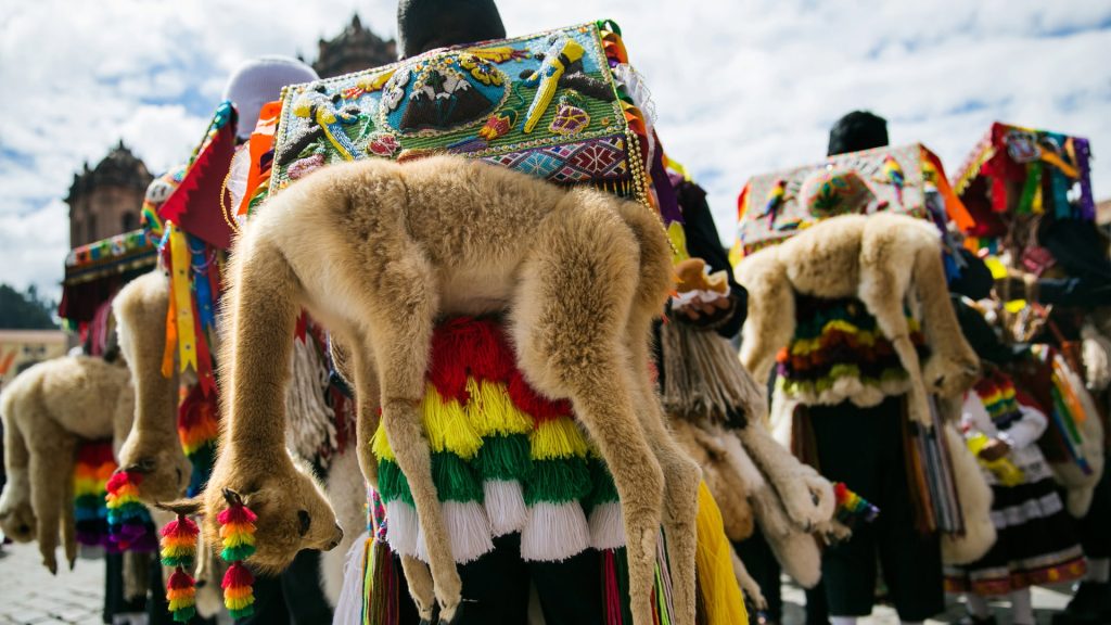 Group of Andean participants in traditional attire carrying embroidered ceremonial bundles with animal figures in a cobblestone plaza – Ali Peru Treks