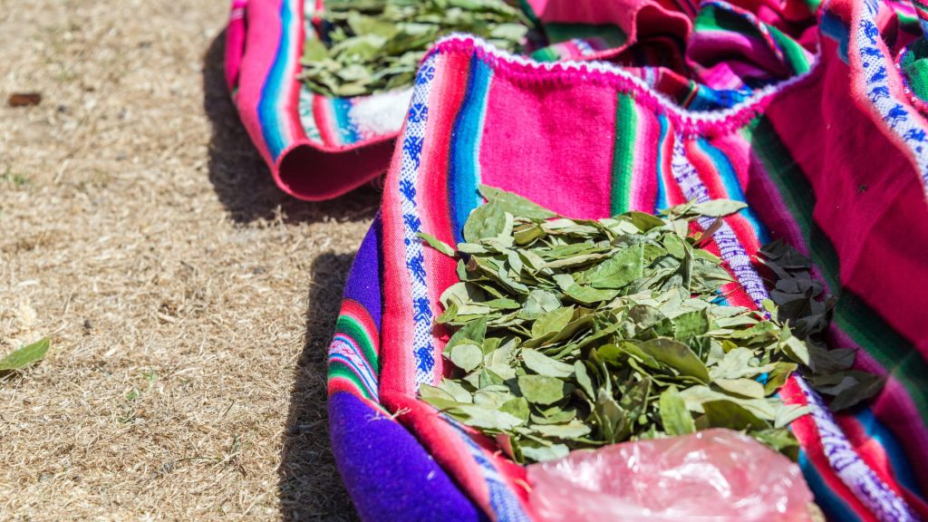 Two colorful Andean cloths displaying coca leaves outdoors, part of the preparation for coca tea and muña tea – Ali Peru Treks