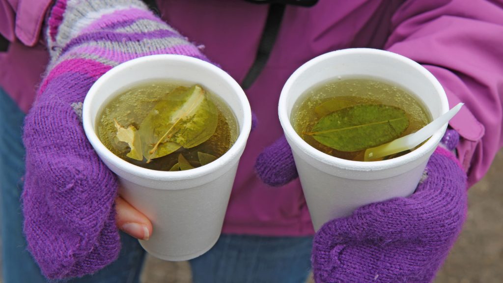 Traveler holding two cups of coca leaf tea outdoors, a traditional Andean remedy during the Salkantay Trek to Machu Picchu – Ali Peru Treks