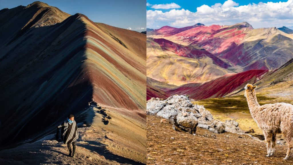 Split image showing Vinicunca’s vibrant mineral layers with a traditionally dressed traveler, and a llama overlooking the colorful peaks—ideal for comparing Vinicunca vs Palccoyo – Ali Peru Treks