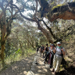 Inca Trail History: How an Ancient Royal Road Became a Modern Trek