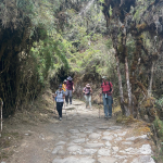 A group of hikers walking along an original stone trail on the Inca Trail to Machu Picchu.