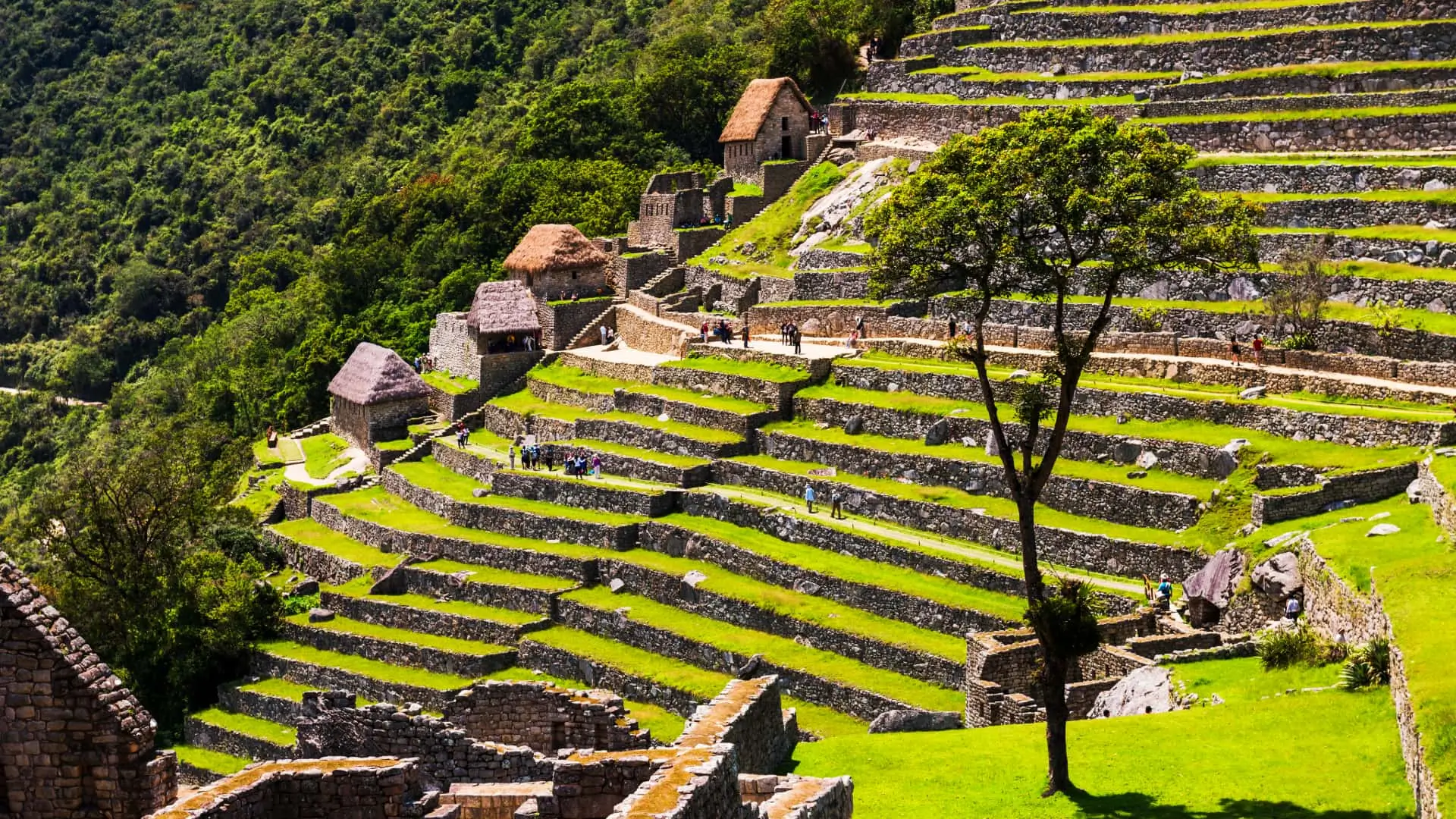 Agricultural terraces and structures of the historic sanctuary of Machu Picchu