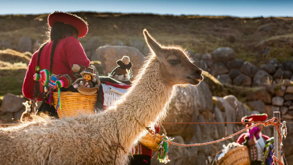 Andean Spirituality in Peru llamas and traditions