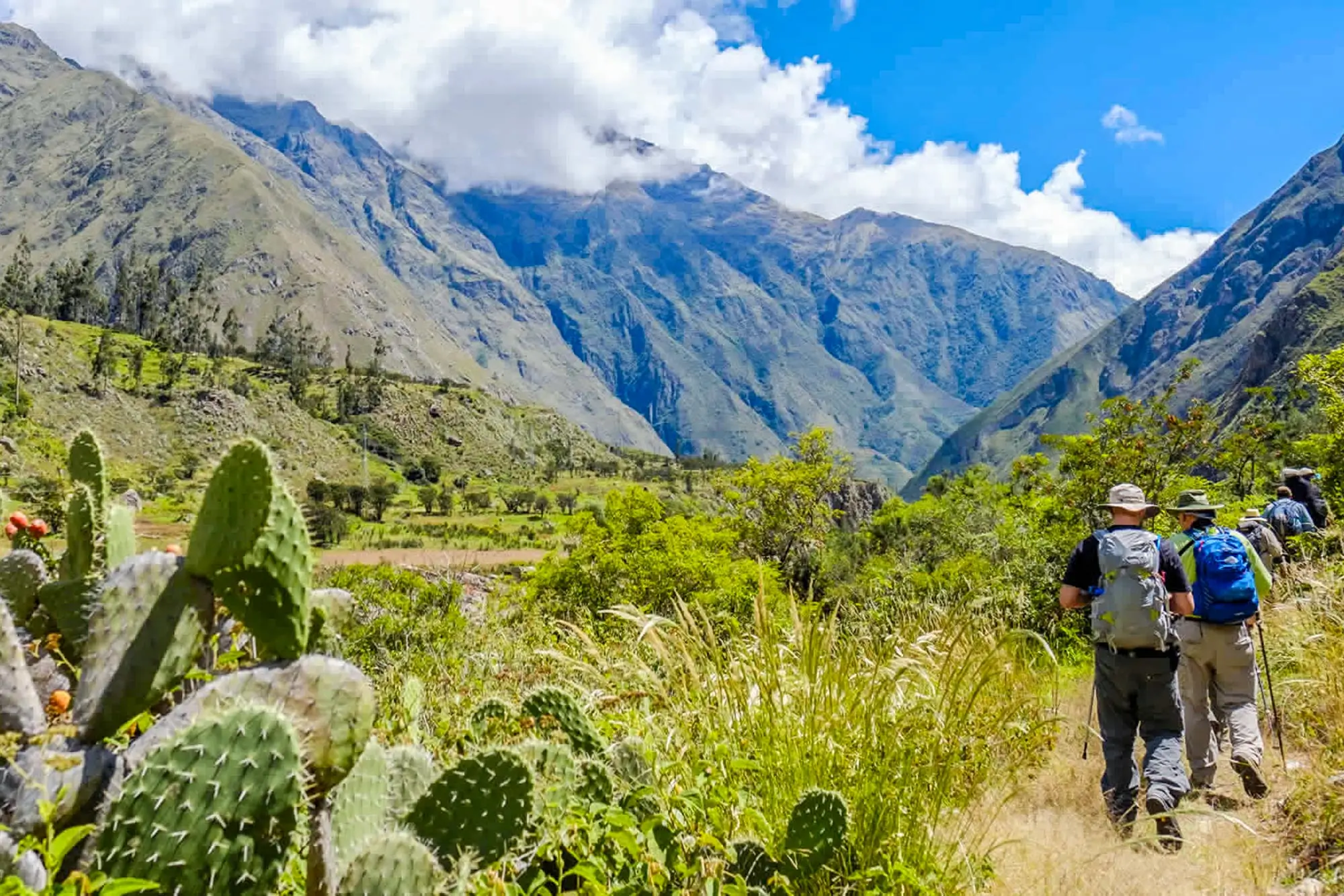 Inca Trail Flora and Fauna