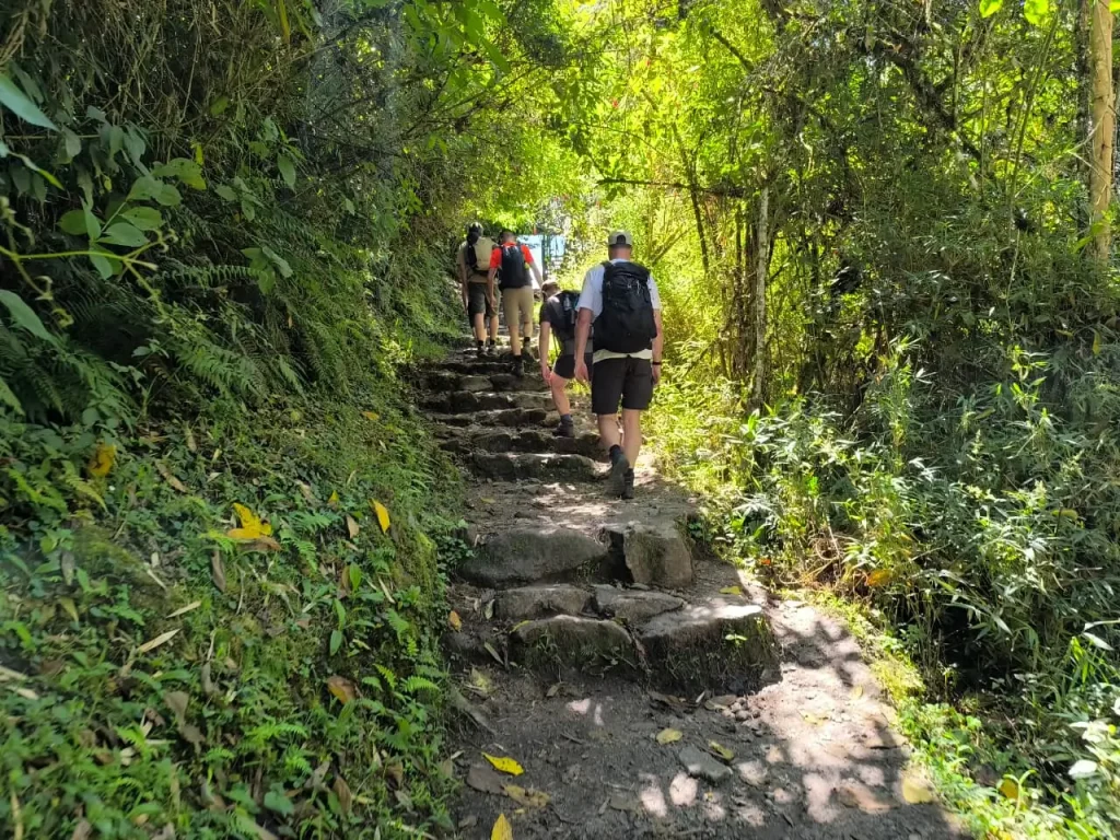 A group of hikers climbing the traditional stone steps surrounded by lush vegetation on the Inca Trail Tour 4 Days