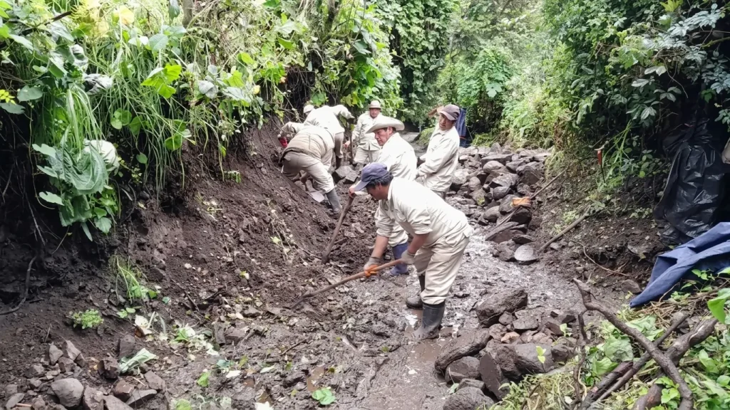 Staff at the Machu Picchu National Archaeological Park are carrying out maintenance and restoration work on the Inca Trail network.