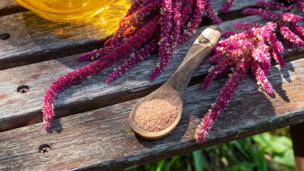 Kiwicha Superfood Peru seeds flowers