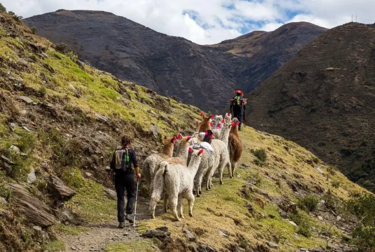 Caminata de Lares de Lujo a Machu Picchu