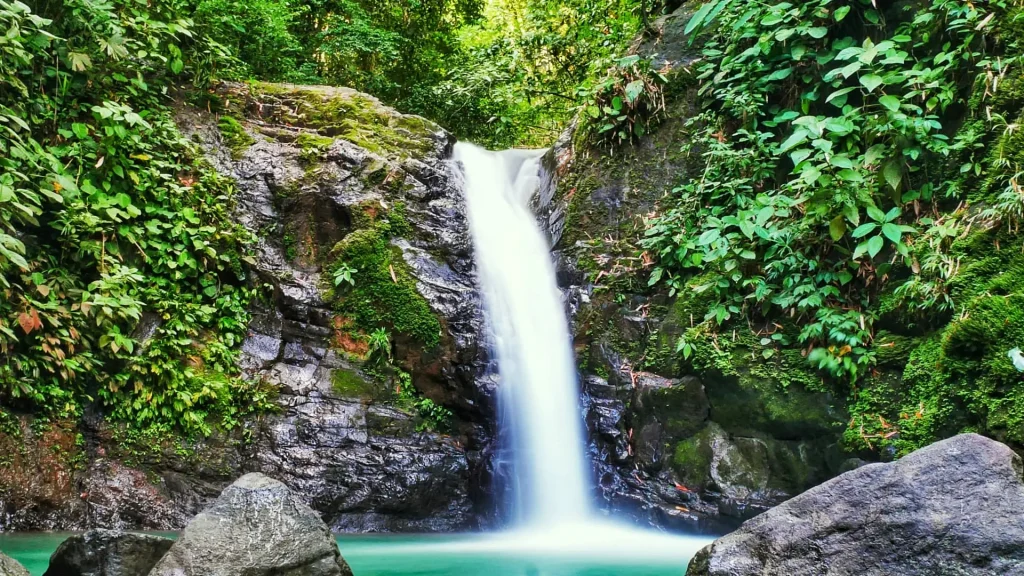 Mandor Gardens A Natural Oasis Near Machu Picchu