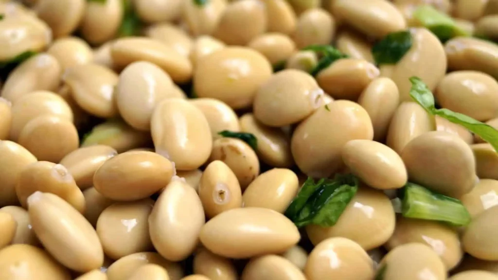 Peruvian Superfoods: The Ancient Power of Andean Nutrition