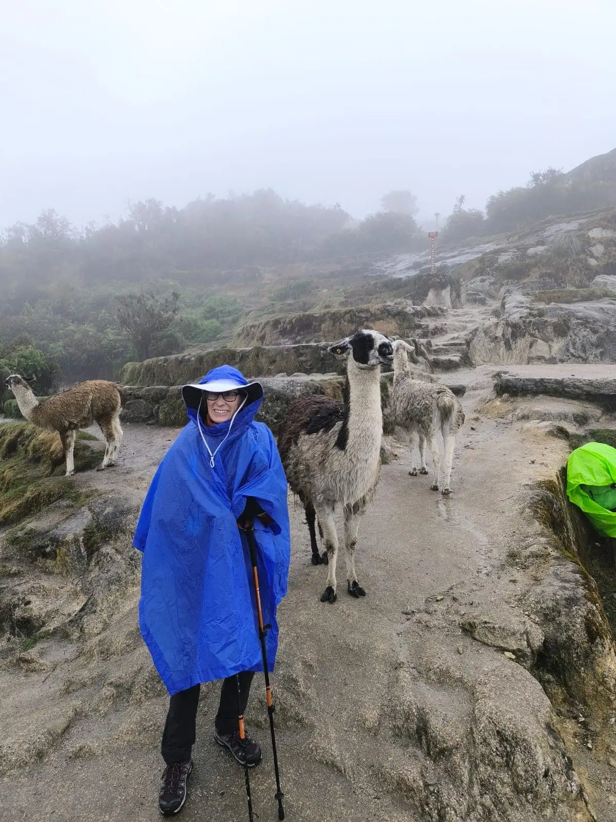 Rain in Machu Picchu