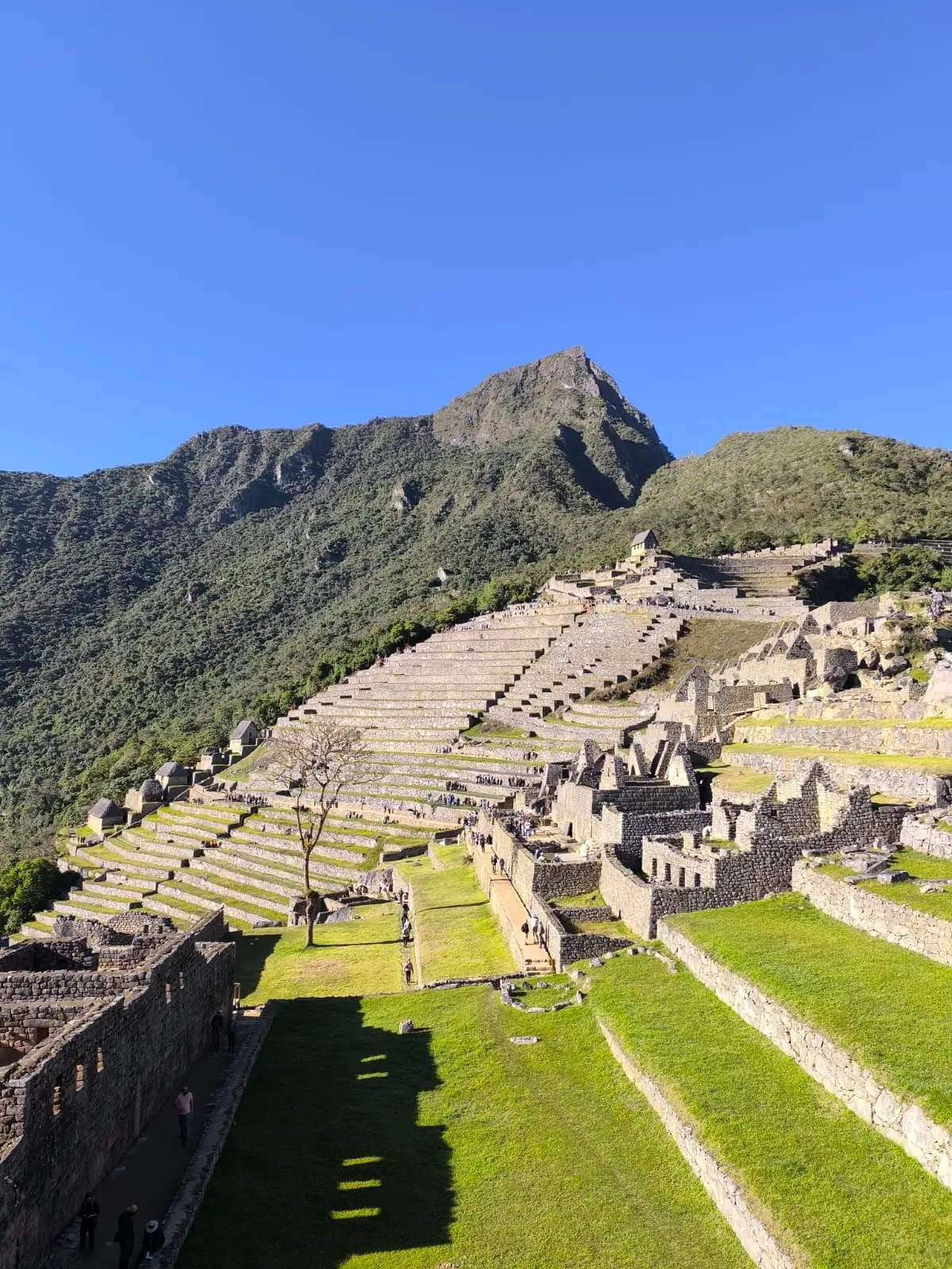 The ruins of the Inca citadel of Machu Picchu, featuring its iconic agricultural terraces and stone structures