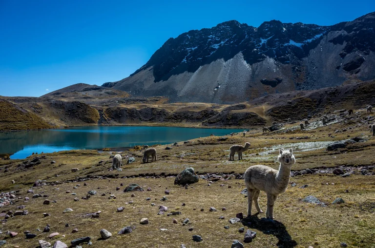 Trekking around Nevado Ausangate