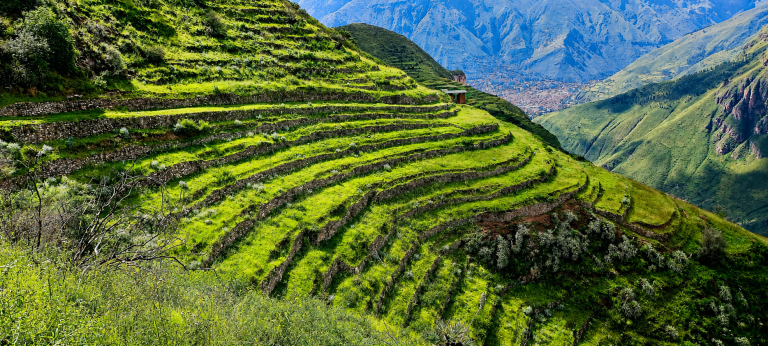 Excursión a Machu Picchu en 6 Días