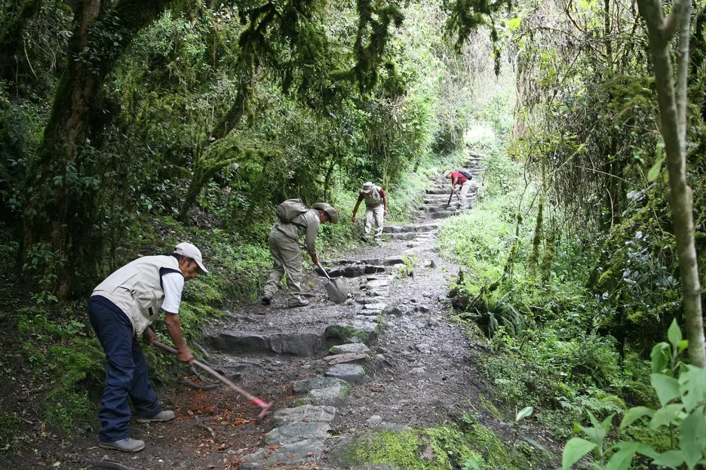 The image shows maintenance and preservation work on the Inca Trail to Machu Picchu, a task carried out annually to protect the stone path